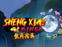 Sheng Xiao Bingo