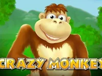 Crazy Monkey